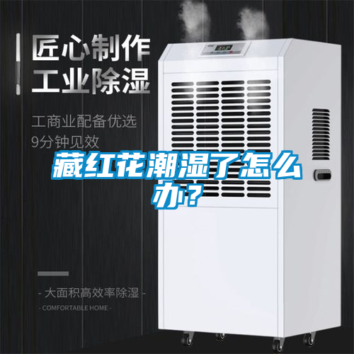 藏紅花潮濕了怎么辦？