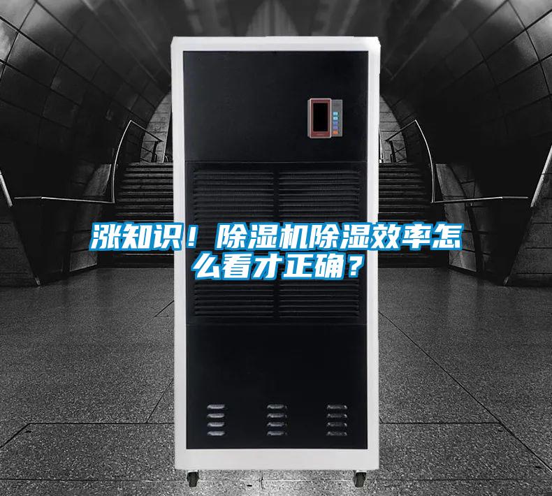 漲知識！除濕機除濕效率怎么看才正確？