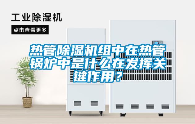 熱管除濕機組中在熱管鍋爐中是什么在發(fā)揮關(guān)鍵作用？
