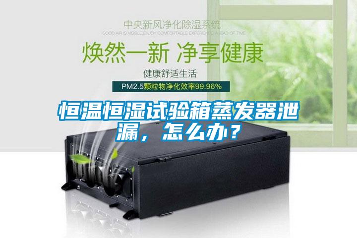 恒溫恒濕試驗(yàn)箱蒸發(fā)器泄漏，怎么辦？