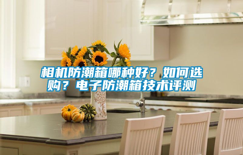 相機防潮箱哪種好？如何選購？電子防潮箱技術評測