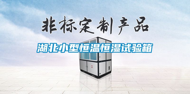 湖北小型恒溫恒濕試驗(yàn)箱