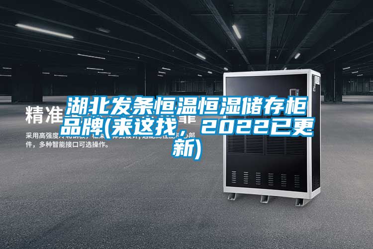 湖北發(fā)條恒溫恒濕儲(chǔ)存柜品牌(來這找，2022已更新)