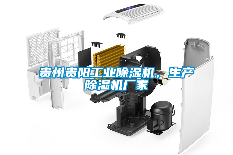 貴州貴陽工業(yè)除濕機(jī)，生產(chǎn)除濕機(jī)廠家