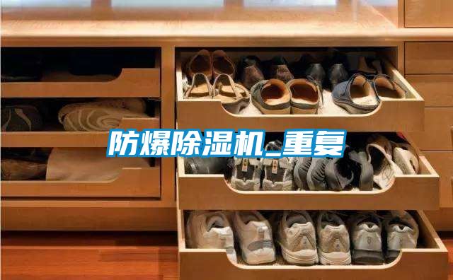 防爆除濕機(jī)_重復(fù)