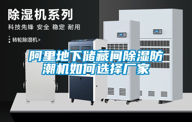 阿里地下儲藏間除濕防潮機(jī)如何選擇廠家
