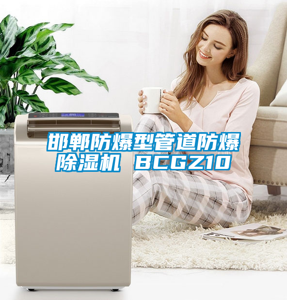邯鄲防爆型管道防爆除濕機 BCGZ10