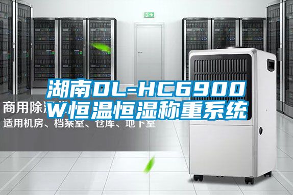 湖南DL-HC6900W恒溫恒濕稱(chēng)重系統(tǒng)