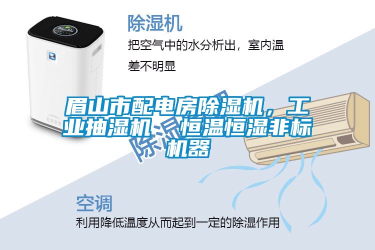 眉山市配電房除濕機，工業(yè)抽濕機  恒溫恒濕非標機器