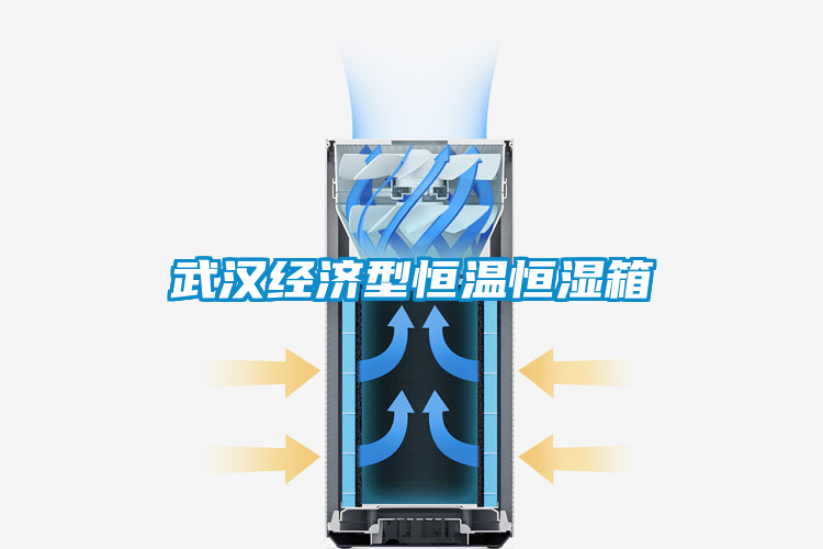 武漢經(jīng)濟型恒溫恒濕箱