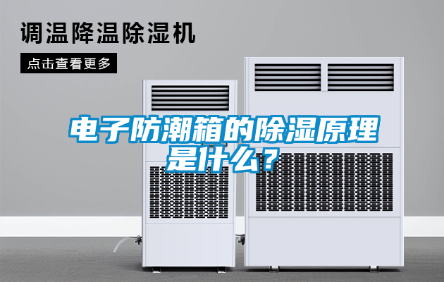 電子防潮箱的除濕原理是什么？