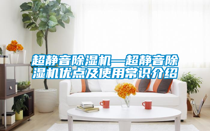 超靜音除濕機(jī)—超靜音除濕機(jī)優(yōu)點(diǎn)及使用常識(shí)介紹