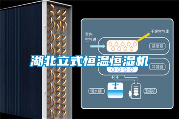 湖北立式恒溫恒濕機(jī)