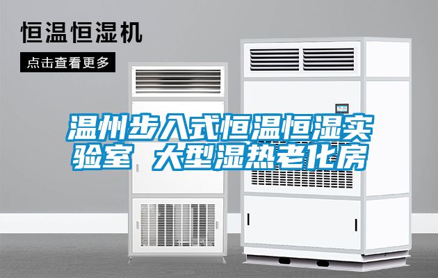 溫州步入式恒溫恒濕實驗室 大型濕熱老化房