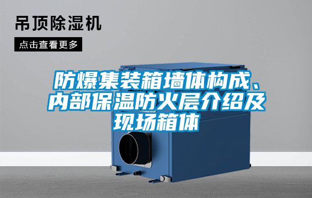 防爆集裝箱墻體構(gòu)成、內(nèi)部保溫防火層介紹及現(xiàn)場箱體
