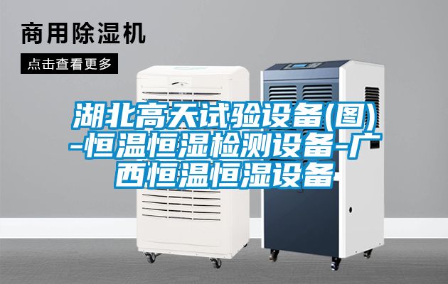 湖北高天試驗設(shè)備(圖)-恒溫恒濕檢測設(shè)備-廣西恒溫恒濕設(shè)備
