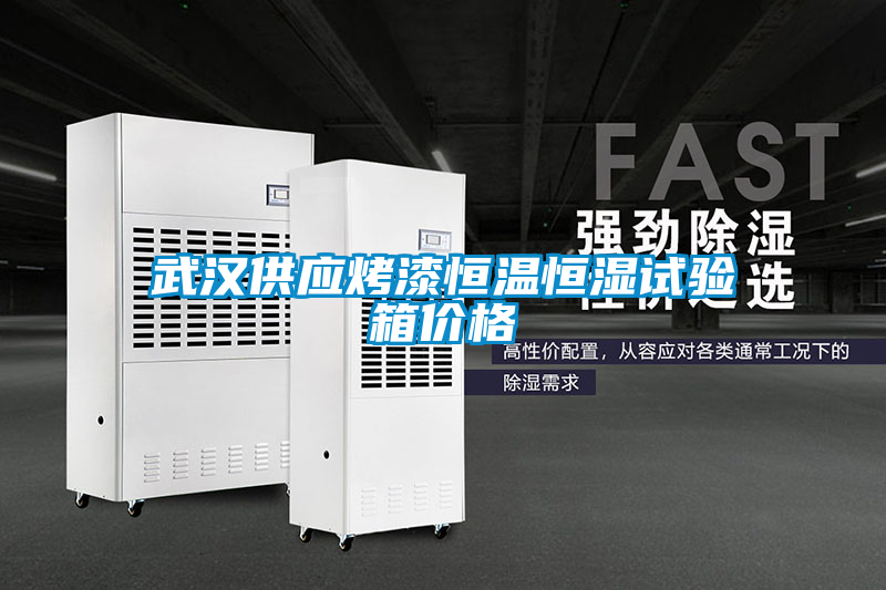 武漢供應(yīng)烤漆恒溫恒濕試驗箱價格