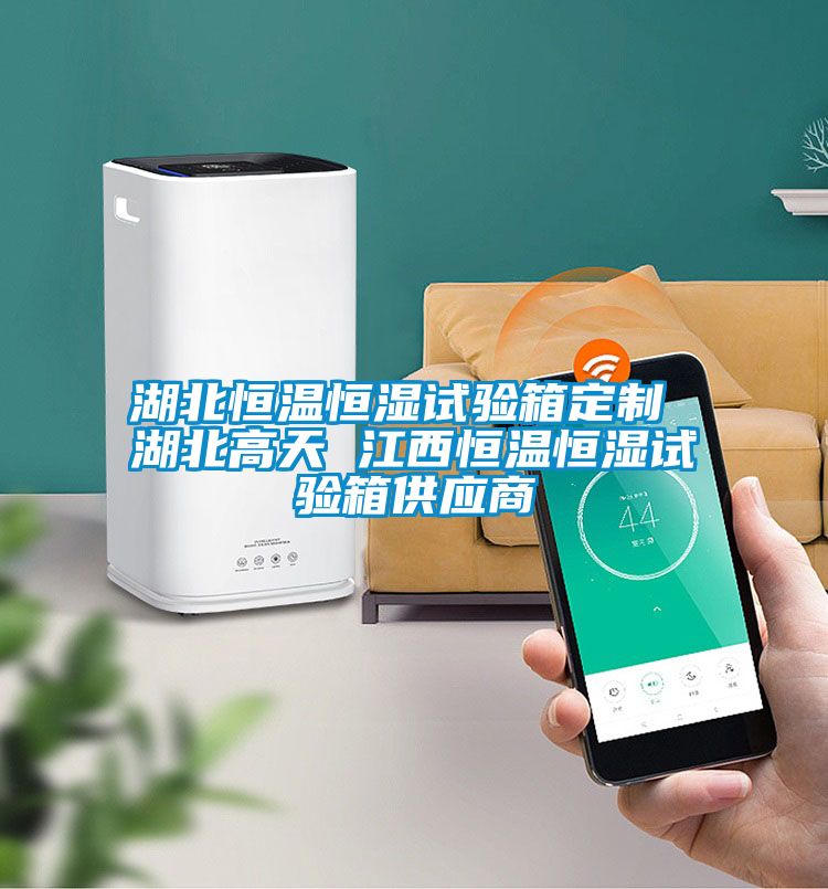 湖北恒溫恒濕試驗(yàn)箱定制 湖北高天 江西恒溫恒濕試驗(yàn)箱供應(yīng)商
