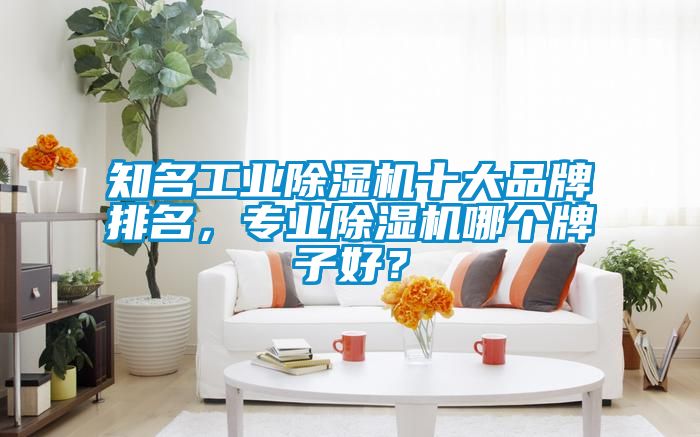 知名工業(yè)除濕機(jī)十大品牌排名，專業(yè)除濕機(jī)哪個(gè)牌子好？