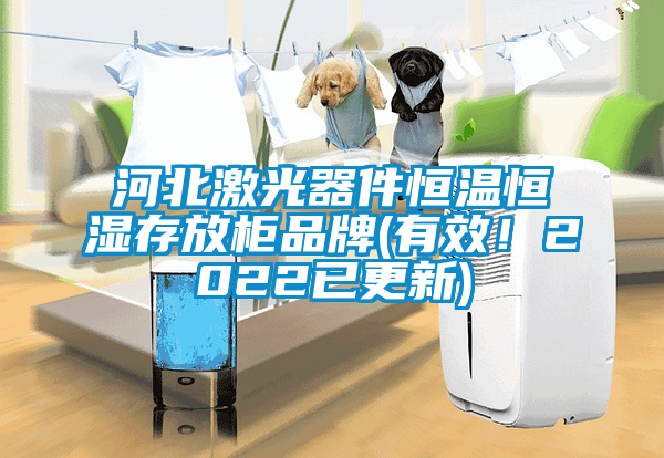 河北激光器件恒溫恒濕存放柜品牌(有效！2022已更新)