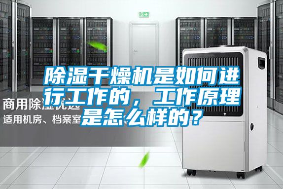 除濕干燥機是如何進行工作的，工作原理是怎么樣的？