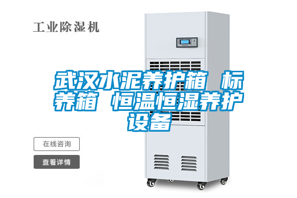 武漢水泥養(yǎng)護箱 標養(yǎng)箱 恒溫恒濕養(yǎng)護設備