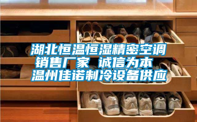 湖北恒溫恒濕精密空調(diào)銷售廠家 誠(chéng)信為本 溫州佳諾制冷設(shè)備供應(yīng)