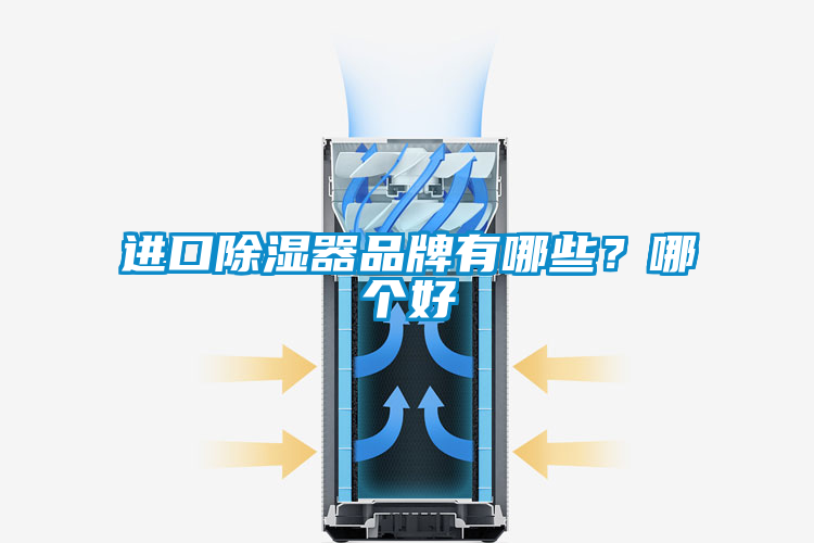 進(jìn)口除濕器品牌有哪些？哪個(gè)好