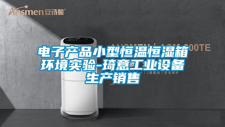 電子產品小型恒溫恒濕箱環(huán)境實驗-琦意工業(yè)設備生產銷售