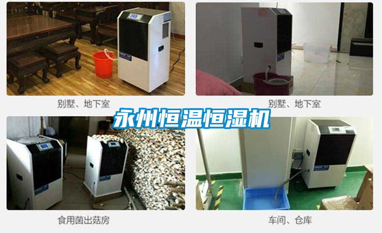 永州恒溫恒濕機