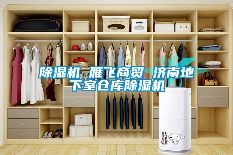 除濕機(jī) 雁飛商貿(mào) 濟(jì)南地下室倉庫除濕機(jī)