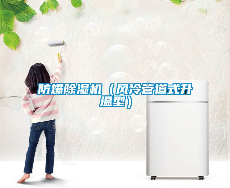 防爆除濕機（風(fēng)冷管道式升溫型）