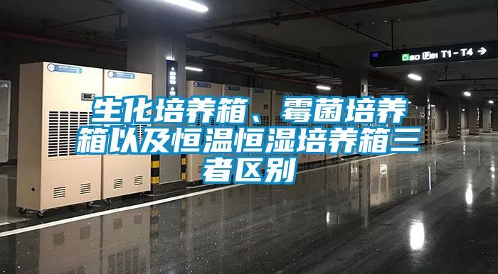 生化培養(yǎng)箱、霉菌培養(yǎng)箱以及恒溫恒濕培養(yǎng)箱三者區(qū)別