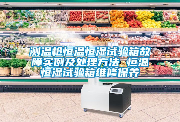 測溫槍恒溫恒濕試驗箱故障實例及處理方法 恒溫恒濕試驗箱維修保養(yǎng)