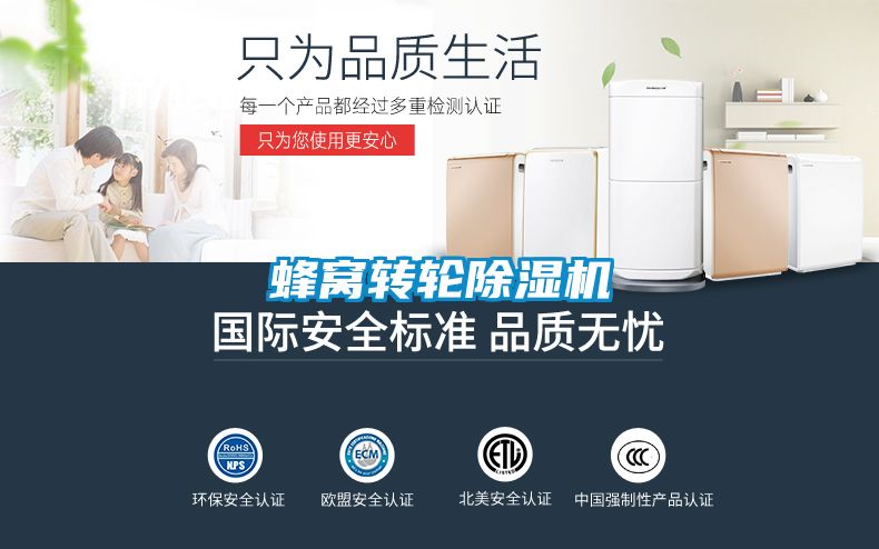 蜂窩轉輪除濕機