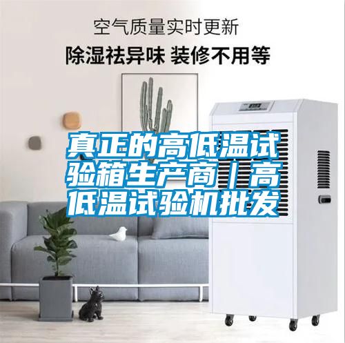 真正的高低溫試驗箱生產(chǎn)商｜高低溫試驗機批發(fā)