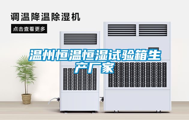 溫州恒溫恒濕試驗箱生產廠家