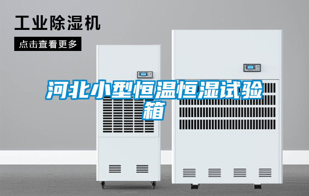 河北小型恒溫恒濕試驗(yàn)箱