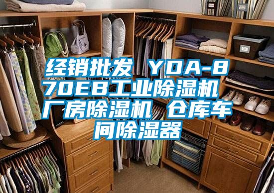 經(jīng)銷批發(fā) YDA-870EB工業(yè)除濕機 廠房除濕機 倉庫車間除濕器