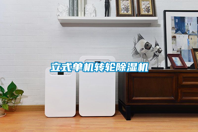 立式單機轉(zhuǎn)輪除濕機