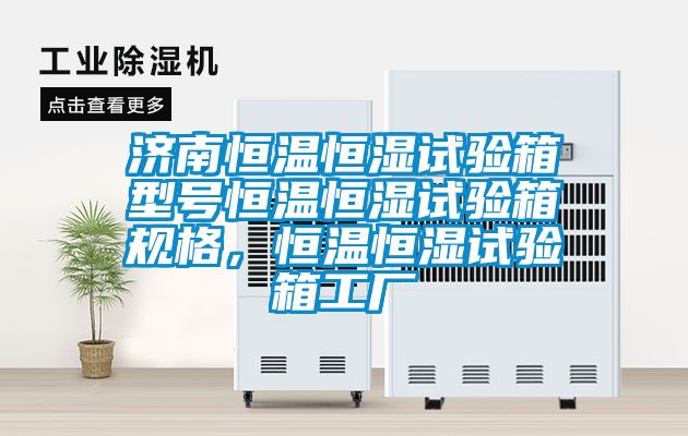 濟(jì)南恒溫恒濕試驗(yàn)箱型號恒溫恒濕試驗(yàn)箱規(guī)格，恒溫恒濕試驗(yàn)箱工廠