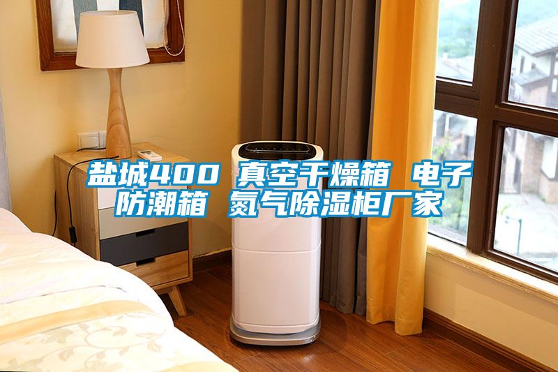 鹽城400℃真空干燥箱 電子防潮箱 氮?dú)獬凉窆駨S家