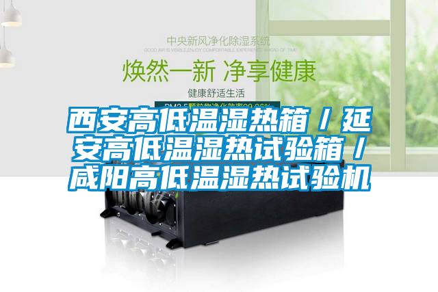 西安高低溫濕熱箱／延安高低溫濕熱試驗(yàn)箱／咸陽高低溫濕熱試驗(yàn)機(jī)