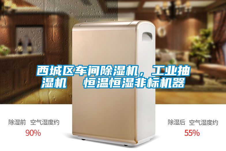 西城區(qū)車間除濕機(jī)，工業(yè)抽濕機(jī)  恒溫恒濕非標(biāo)機(jī)器