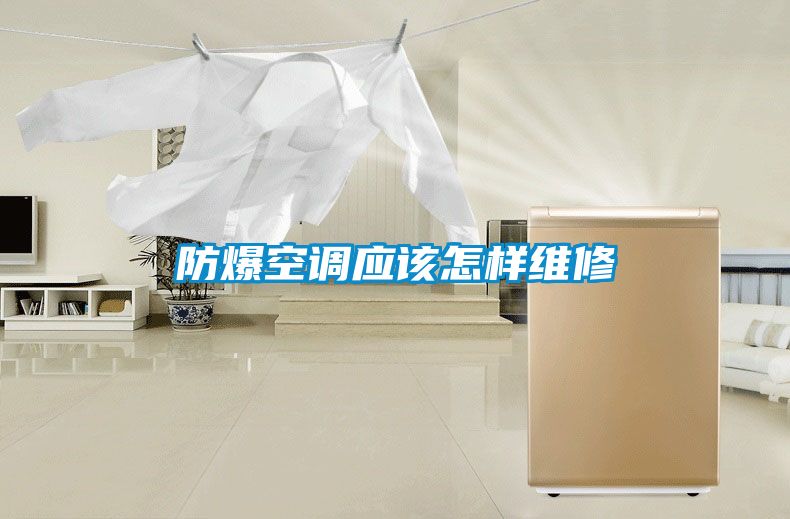防爆空調(diào)應(yīng)該怎樣維修