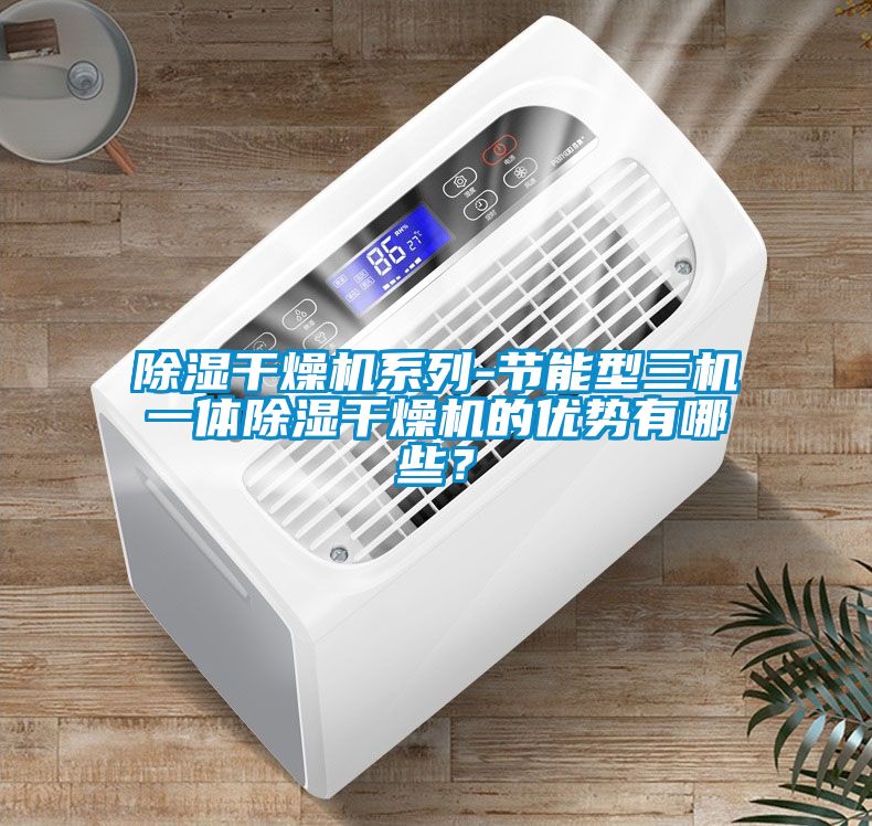 除濕干燥機系列-節(jié)能型三機一體除濕干燥機的優(yōu)勢有哪些？