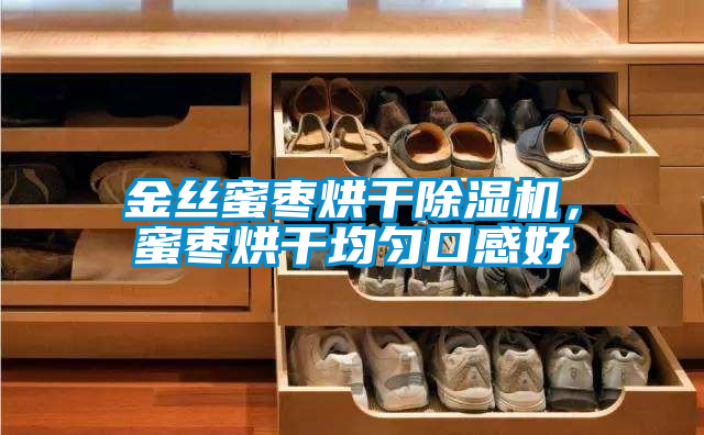 金絲蜜棗烘干除濕機，蜜棗烘干均勻口感好