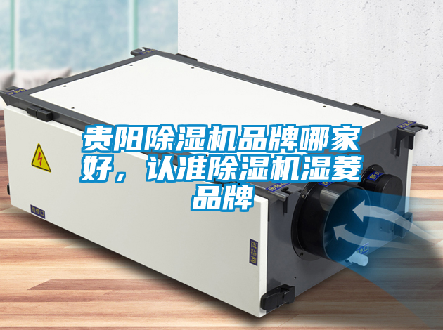 貴陽除濕機(jī)品牌哪家好，認(rèn)準(zhǔn)除濕機(jī)濕菱品牌