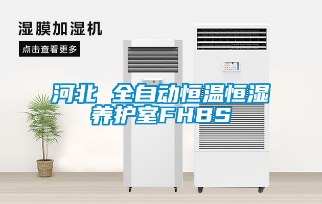 河北 全自動(dòng)恒溫恒濕養(yǎng)護(hù)室FHBS