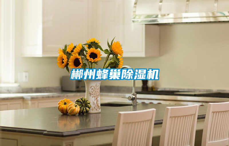 郴州蜂巢除濕機